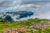 Ooty