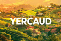 Yercaud